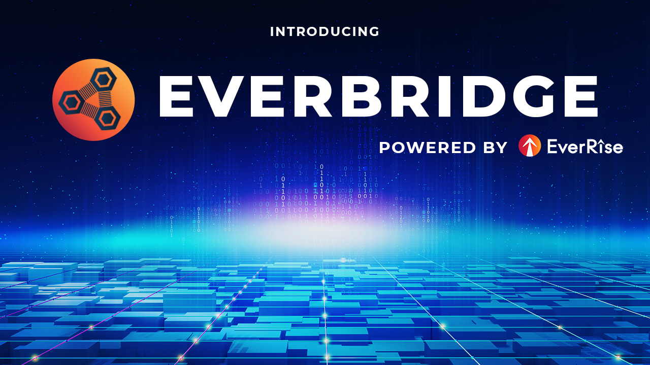 You are currently viewing EverRise Brings Buyback Token and Ecosystem of dApps to Polygon and Ethereum