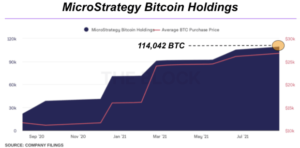 Read more about the article MicroStrategy And Other Whales Continue Bitcoin Accumulation