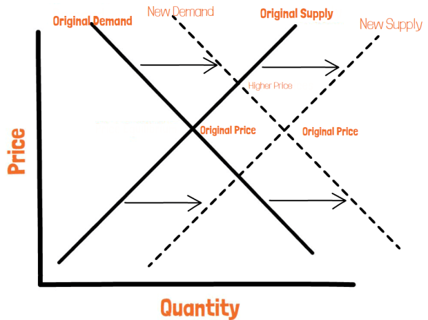 You are currently viewing Bitcoin’s Price Rises Rapidly Due to Absolute Scarcity