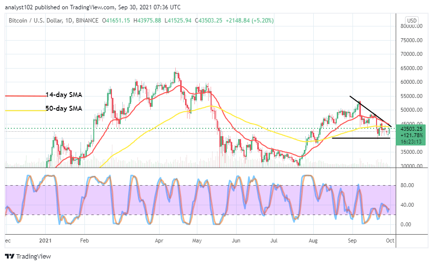 You are currently viewing Bitcoin (BTC/USD) Price Averages $45,000 Level