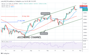 Read more about the article Bitcoin (BTC) Price Prediction: BTC/USD Holds Above $60k as Bitcoin Approaches $64k High