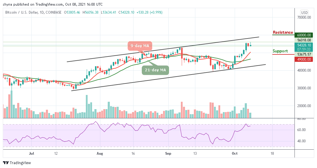 You are currently viewing Bitcoin Price Prediction: BTC/USD Moves Close to $56,000 Resistance