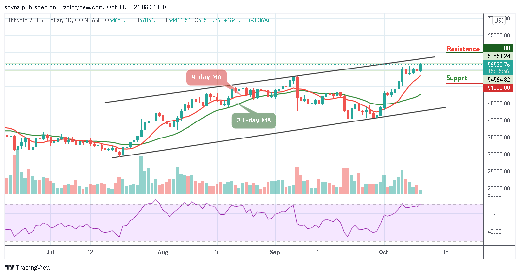 You are currently viewing Bitcoin Price Prediction: BTC/USD Bulls Conquers $56,000