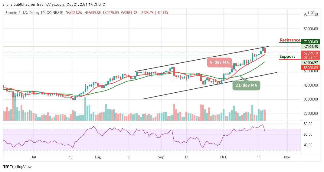 You are currently viewing Bitcoin Price Prediction: BTC/USD Retraces Below $66,000