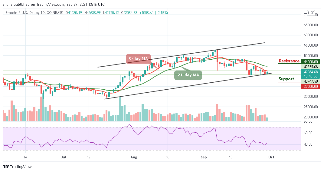 You are currently viewing Bitcoin Price Prediction: BTC/USD May Move Close to $45,000 Level