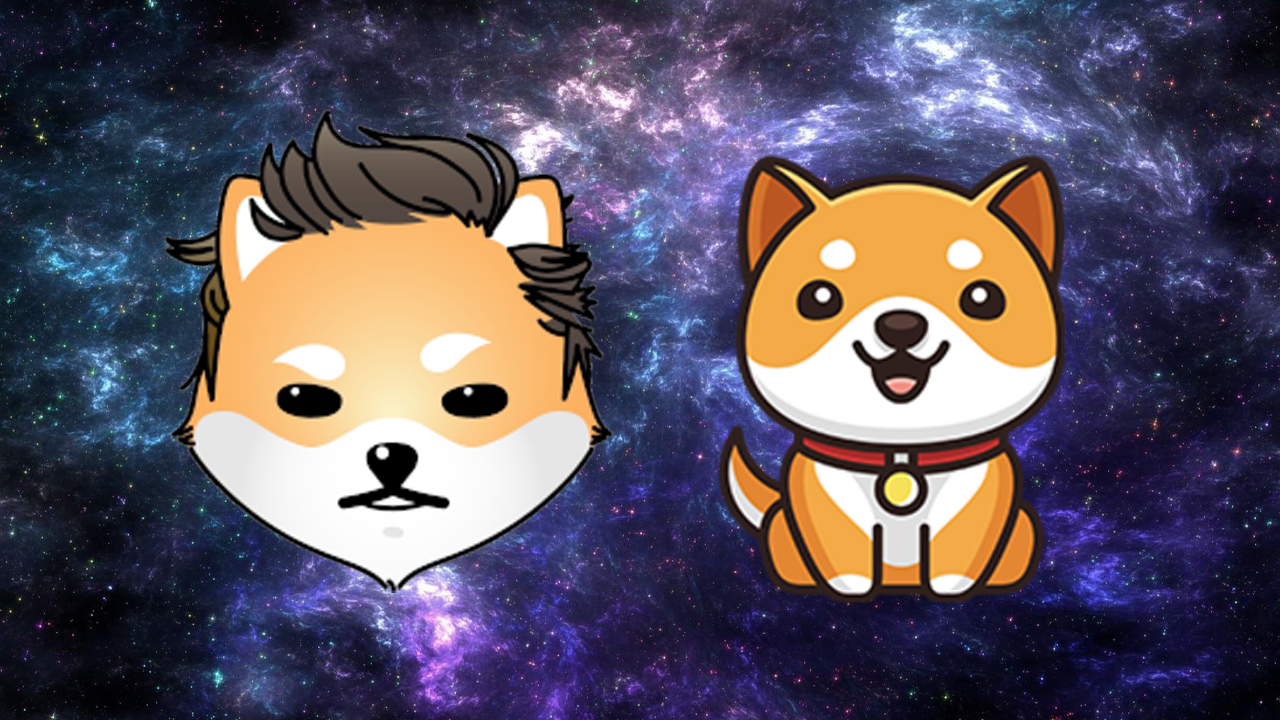 You are currently viewing As DOGE, SHIB Markets Fall Back, Baby Doge Coin and Dogelon Mars Prices Skyrocket