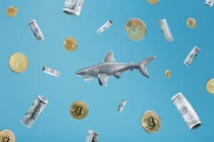 Read more about the article Santiment, annual highs for Bitcoin whales