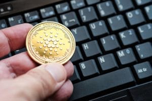 Read more about the article Cardano and Bondly for an NFT bridge with Ethereum