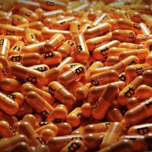 Read more about the article Taking The Orange Pill: A Theory Or Reality?