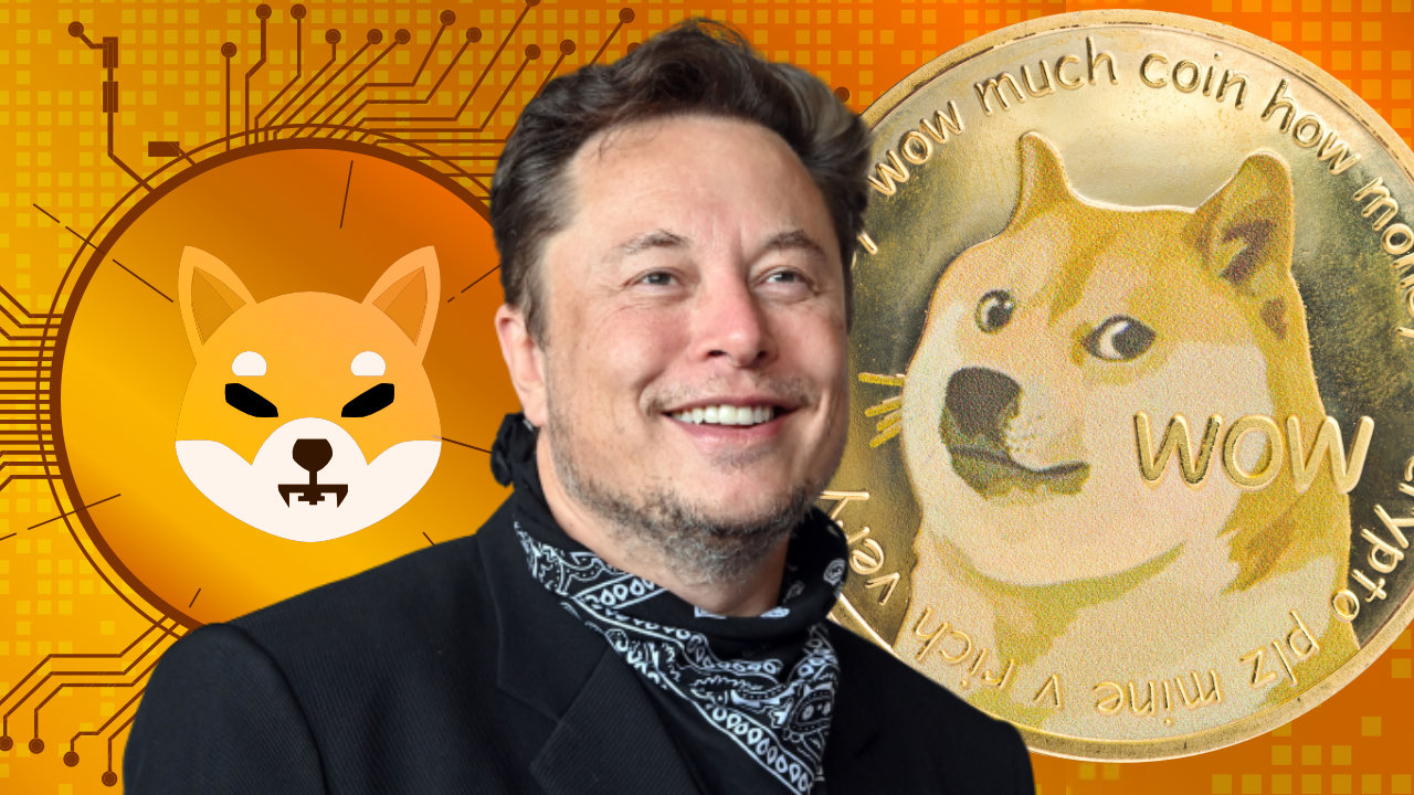 Elon Musk Discusses Important Dogecoin Improvements, Confirms No Investment in Shiba Inu