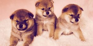 SHIB Flips Dogecoin Again as Meme Coins Jostle for Supremacy