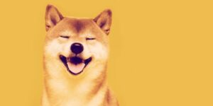 Read more about the article Shiba Inu Up 385% in a Week, Becomes 12th Largest Cryptocurrency