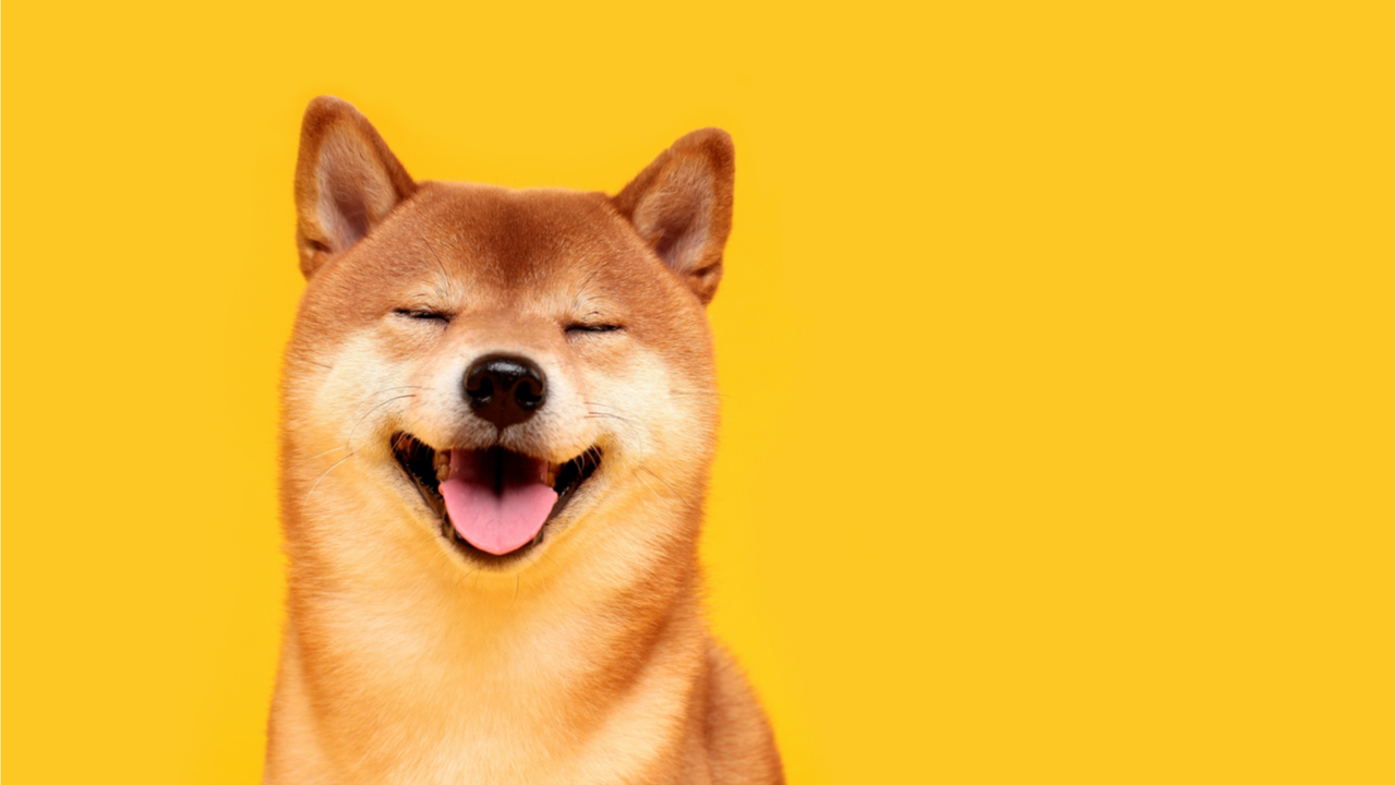 You are currently viewing Shiba Inu Soars Knocking Dogecoin Down a Notch — 20 Holders Own 75% of the SHIB Supply