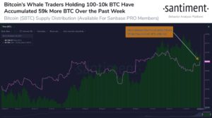 Bitcoin Accumulation Accelerates as Whales Buy 0.29% of BTC’s Total Supply in a Week: Analysis