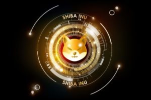 Shiba Inu among the most searched cryptocurrencies