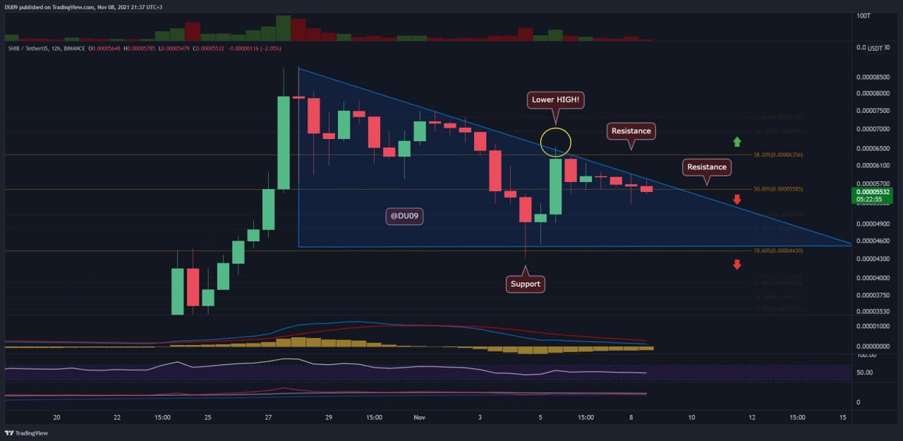 You are currently viewing Shiba Inu Price Analysis: Dead Cat Bounce for SHIB as the Correction Continues