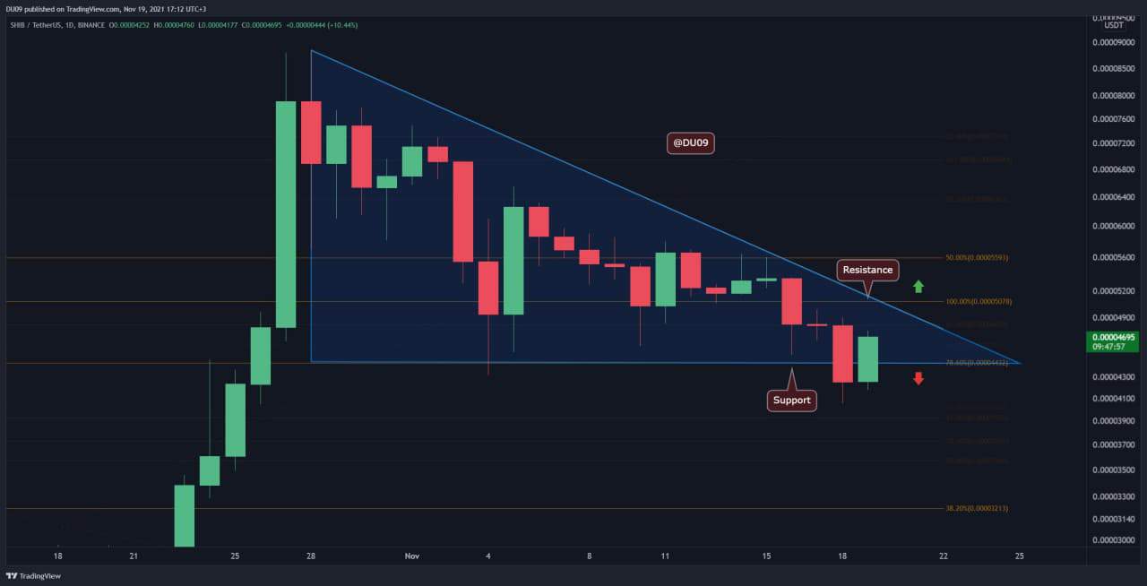 Shiba Inu Price Analysis: SHIB Bulls to the Rescue, Chart 6% Daily Gains