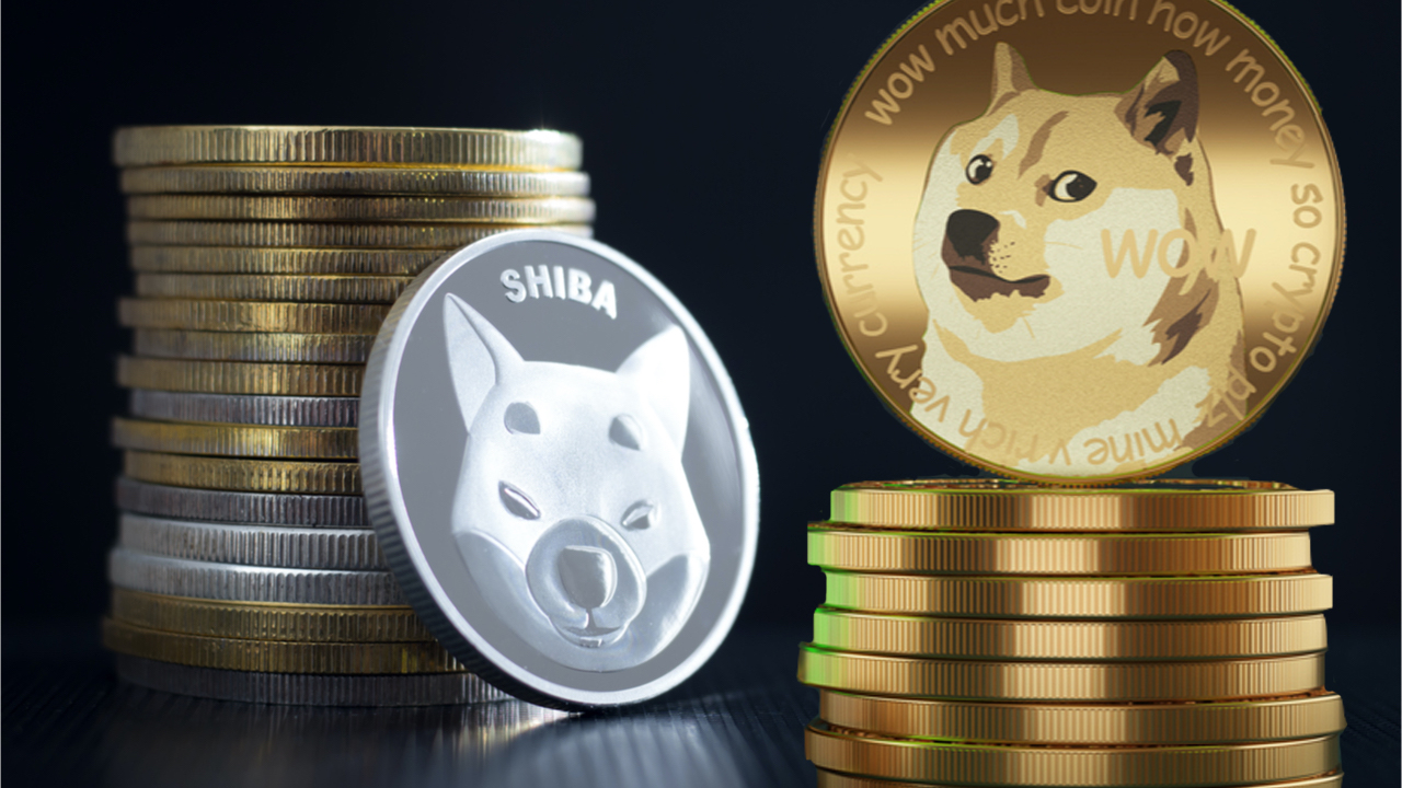 You are currently viewing Meme Coin Market Cap Loses 3.5%, Top 2 Leaders Dogecoin, Shiba Inu Shed Billions