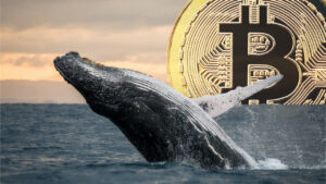 While BTC Skyrocketed to K, Whale From 2013 Transfers 7 Million Worth of ‘Sleeping Bitcoins’