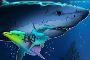 Read more about the article Fish food? Data shows retail investors are buying Bitcoin, whales are selling