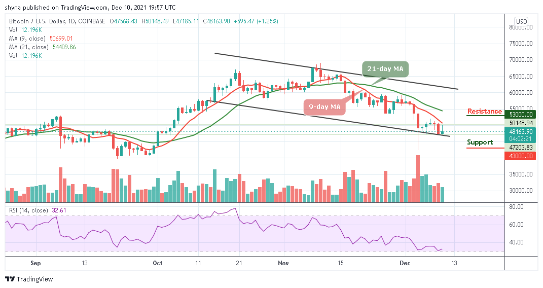 You are currently viewing Bitcoin Price Prediction: BTC/USD Prepares to Climb $50,000