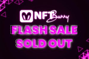 Read more about the article NFT Bunny, Flash Round sold out: the presale continues