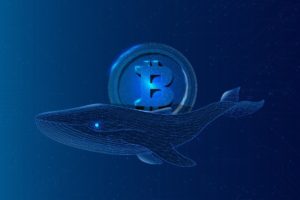 Whales will support Bitcoin’s price in 2022