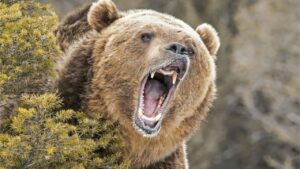 Read more about the article Market Analyst Says ‘Whole Crypto Sphere Is in a Bear Market’ as Prices Continue to Slide Lower