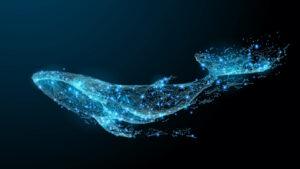 Read more about the article Monster-Sized Bitcoin Whale Transfers: Blockchain Parser Catches Significant Amounts of ‘Cold BTC’ Moved to Active Exchanges