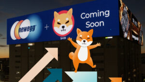 Read more about the article Retail Giant Newegg Unveils Shiba Inu Support on Massive Billboard: SHIB to Be Accepted for Payments in December