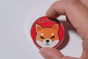 Read more about the article Threats and accusations between Ask the Doctor and a Shiba Inu dev