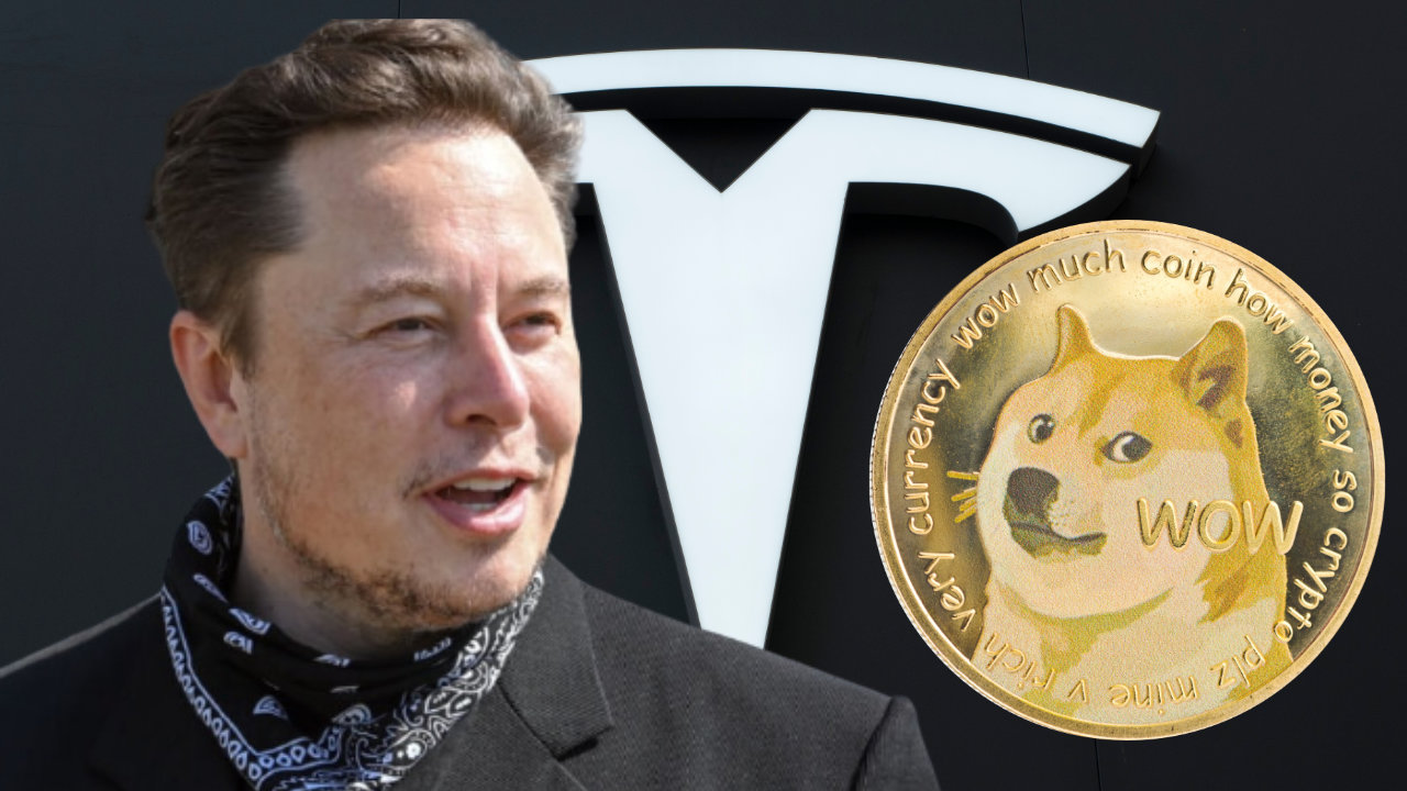 You are currently viewing Dogecoin Soars After Elon Musk Announces Tesla Will Accept DOGE