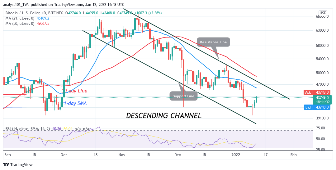 You are currently viewing Bitcoin (BTC) Price Prediction: BTC/USD Pushes on the Upside, Can Bulls Reclaim $50k High?