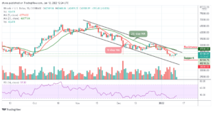 Read more about the article Bitcoin Price Prediction: BTC/USD Bulls Set To Conquer $45000 Level