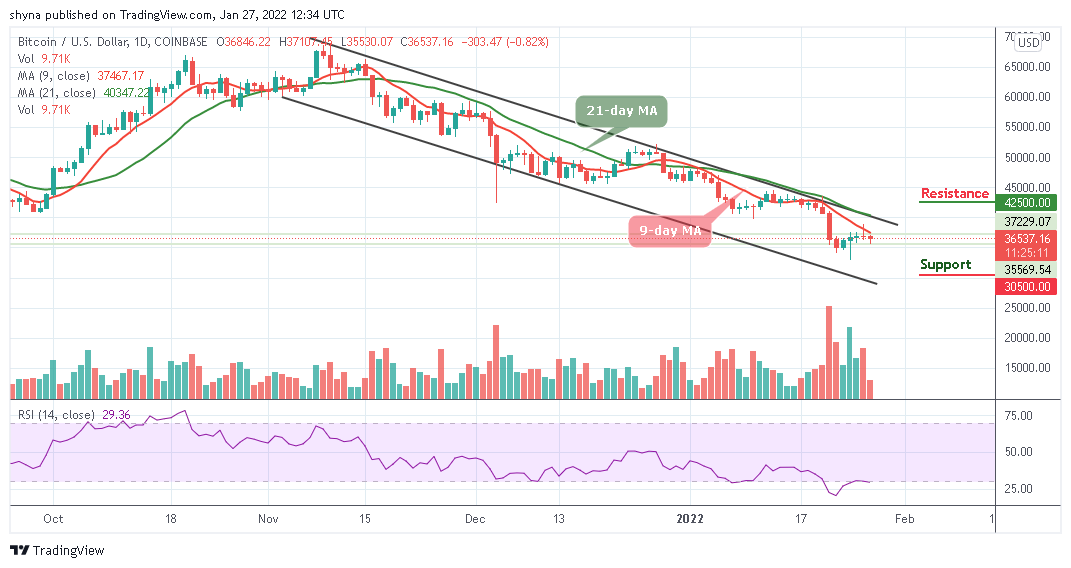 You are currently viewing Bitcoin Price Prediction: BTC/USD Falls Below $37,000 in Sudden Sell-Off