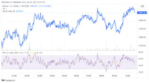 Bitcoin could drop to ,000 before rebound, analysts say, and recommend two altcoins for near term gains