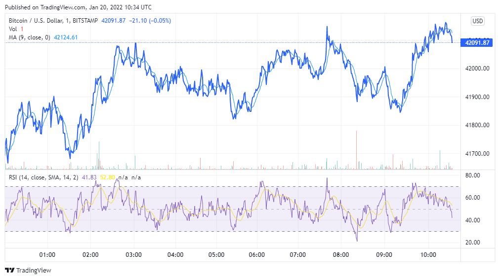 You are currently viewing Bitcoin could drop to $30,000 before rebound, analysts say, and recommend two altcoins for near term gains