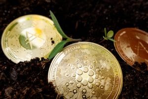 Read more about the article Cardano is increasingly green and ready for recovery