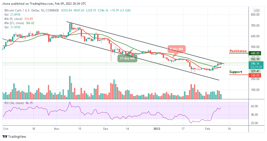 You are currently viewing Bitcoin Cash Price Prediction: BCH/USD Bulls Ready for $350 Resistance