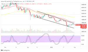 Bitcoin (BTC/USD) Price Reverses Rallying Motions