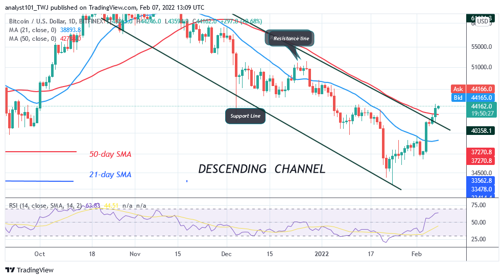 You are currently viewing Bitcoin (BTC) Price Prediction: BTC/USD Is in a Minor Pullback as Bitcoin Battles Resistance at $45k