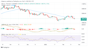 Top 10 Cryptocurrency Rankings for 2022 – Which One to Invest In?