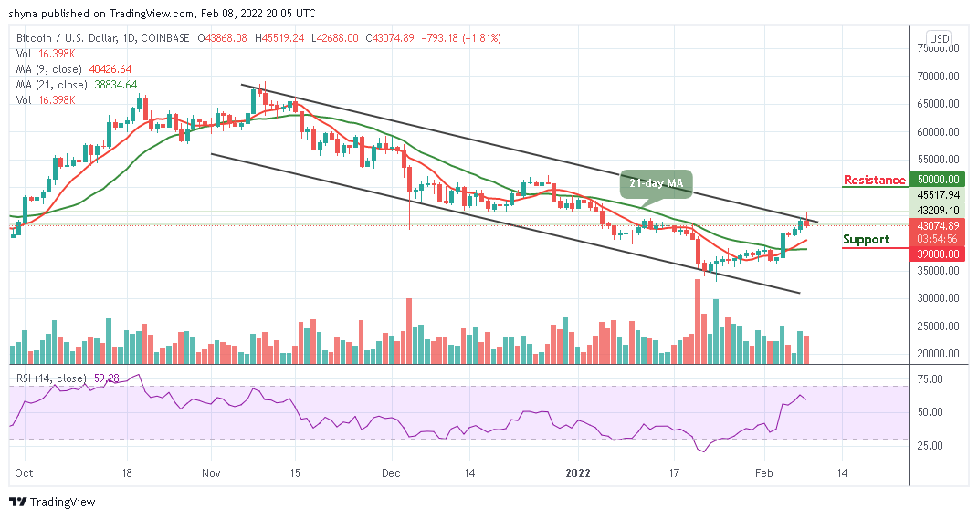 You are currently viewing Bitcoin Price Prediction: BTC/USD Plummets Under $45,000