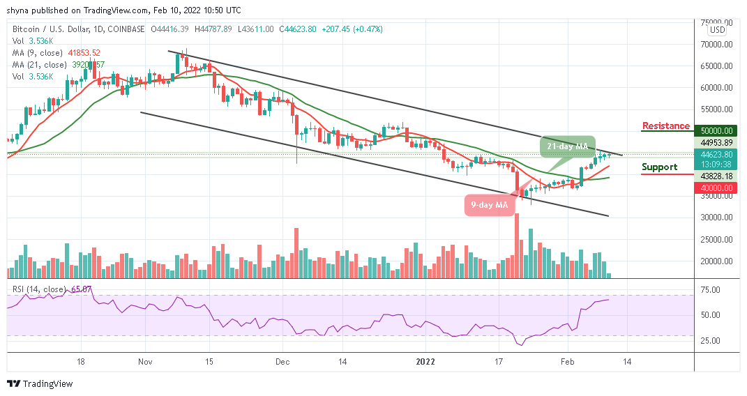 You are currently viewing Bitcoin Price Prediction: BTC/USD Swings Above $45,000 Resistance