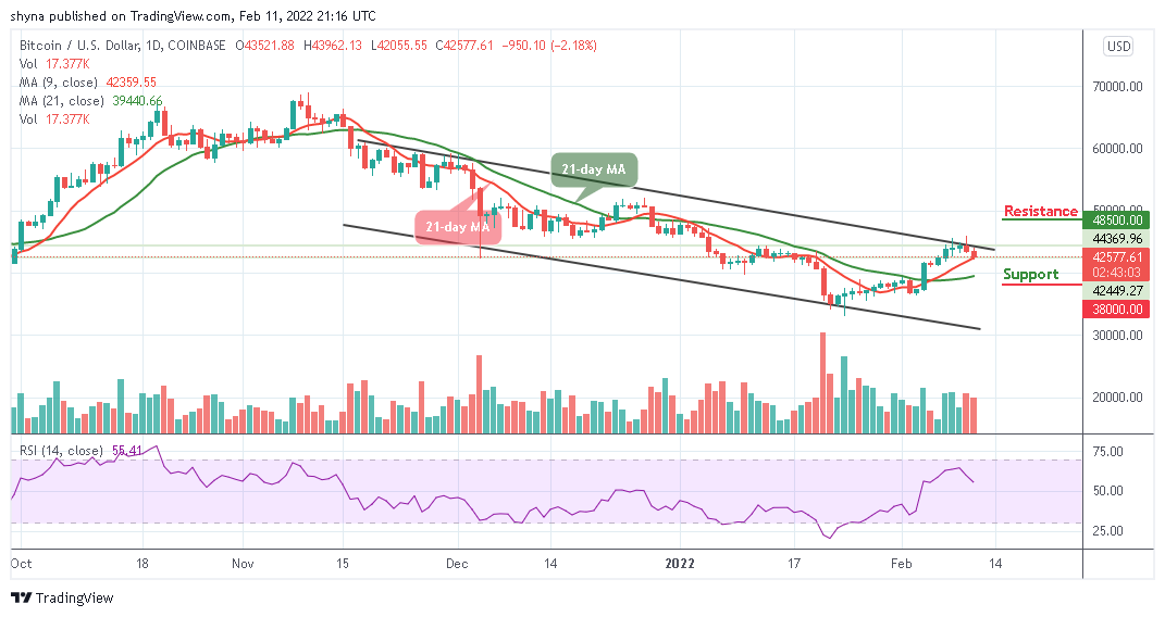 You are currently viewing Bitcoin Price Prediction: BTC/USD Dips Below $43,000 Level