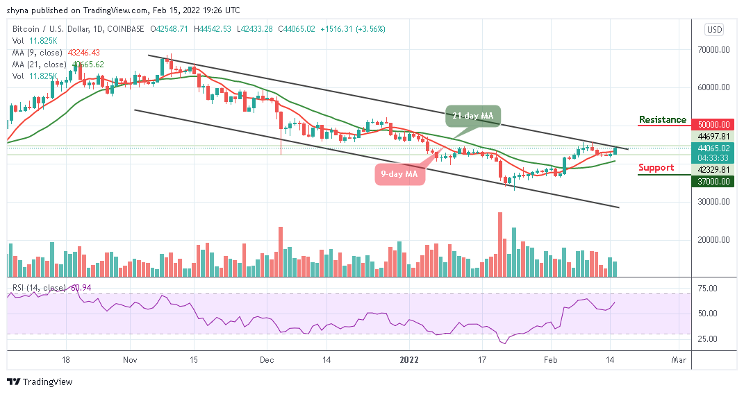 You are currently viewing Bitcoin Price Prediction: BTC/USD Prepares to Climb $45,000