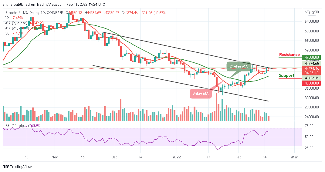 You are currently viewing Bitcoin Price Prediction: BTC/USD Drops Beneath $44,500