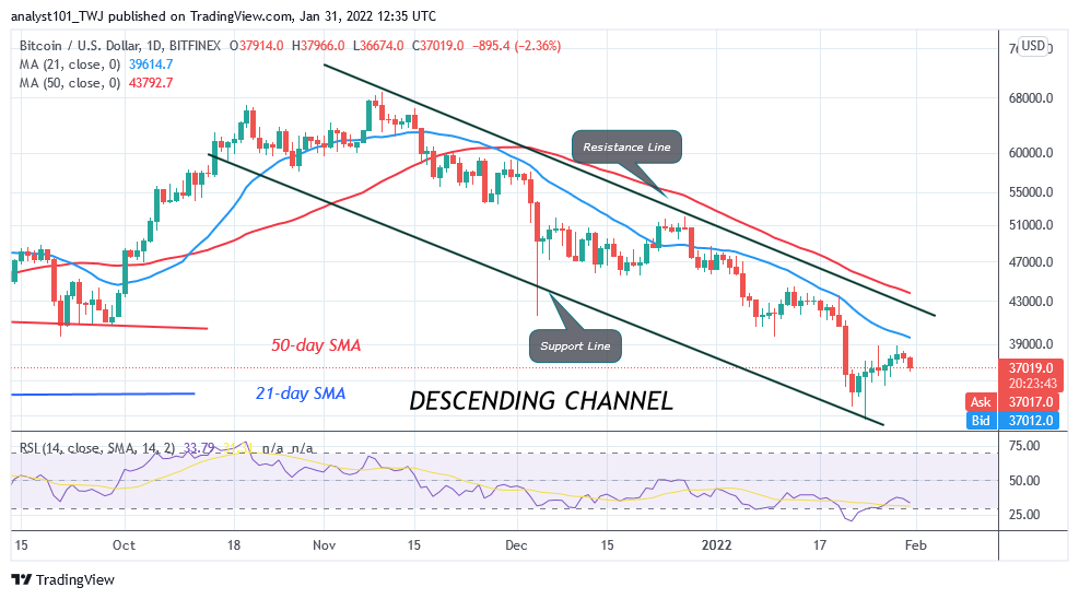 Read more about the article Bitcoin (BTC) Price Prediction: BTC/USD Trades in a Narrow Range as Bitcoin Struggles below $39k High