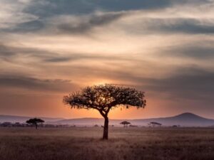 Read more about the article Growing The Bitcoin Development Ecosystem In Africa