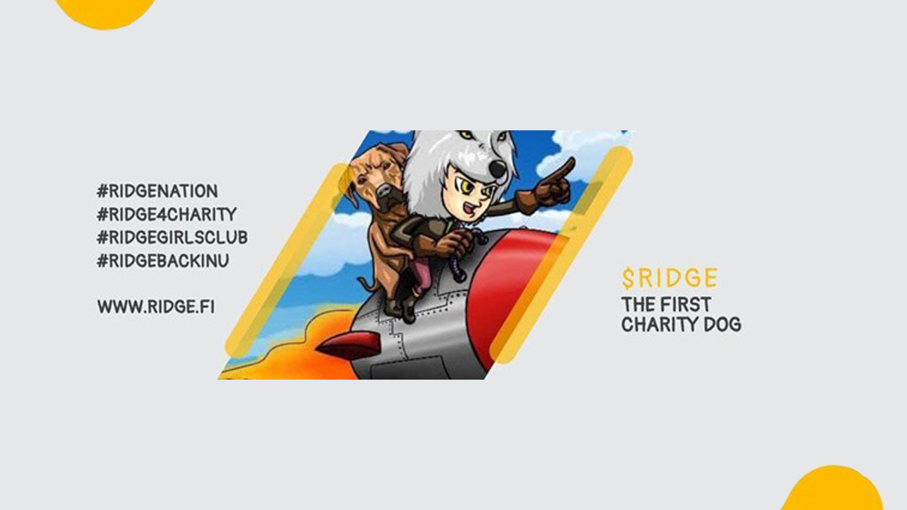 You are currently viewing A Team of Experienced Crypto Enthusiasts Launch RIDGE Charity Token